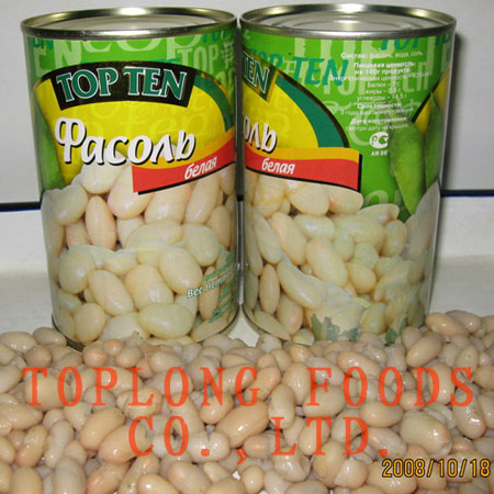 Canned White Kidney beans