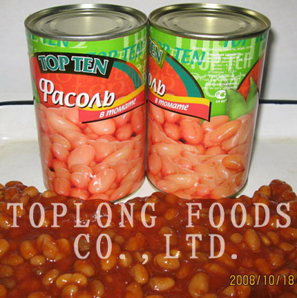 Canned White Kidney beans in tomato sauce
