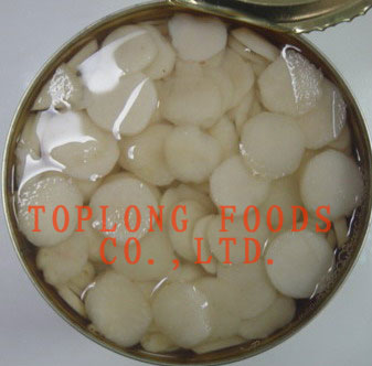 Canned Water Chestnuts